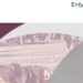 Ρατσισμός και Πανδημία: η Νέα Καθημερινότητα και ο Θεσμικός Αντίκτυπος