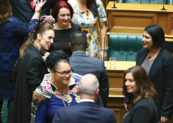 women in parliaments 2020
