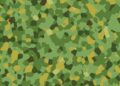 Military camouflage