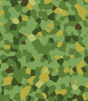 Military camouflage
