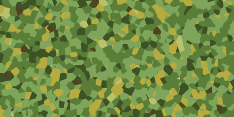 Military camouflage