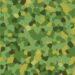 Military camouflage